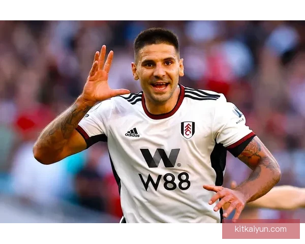 米特罗维奇富勒姆时期表现稳健，持续提升进攻端竞争力